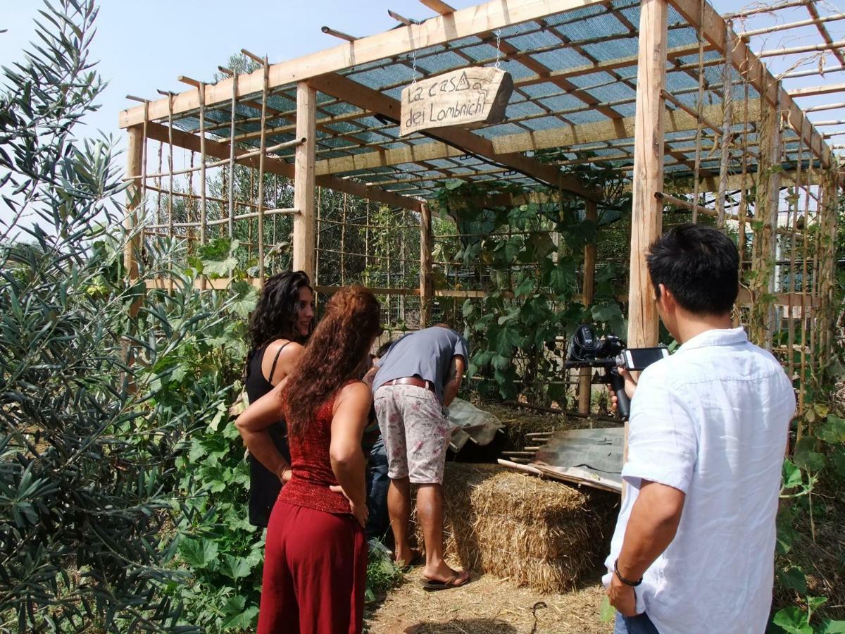 코미소 Il Filo Di Paglia B&B 외부 사진