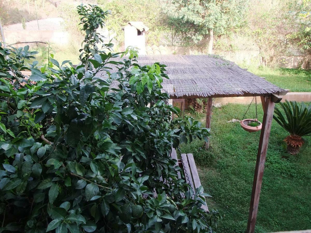 코미소 Il Filo Di Paglia B&B 외부 사진